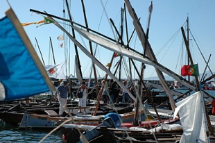 Mar de mastros (Cambados 2005)